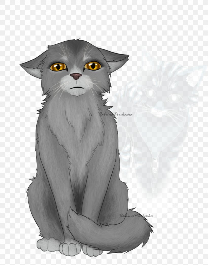 Whiskers Kitten Into The Wild Warriors Graystripe, PNG, 900x1146px, Whiskers, Art, Carnivoran, Cat, Cat Like Mammal Download Free