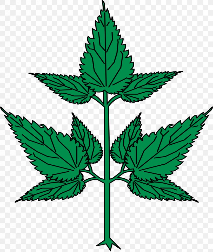 Cannabis Leaf Plant Stem Line Clip Art, PNG, 863x1024px, Cannabis, Flowering Plant, Hemp, Hemp Family, Leaf Download Free