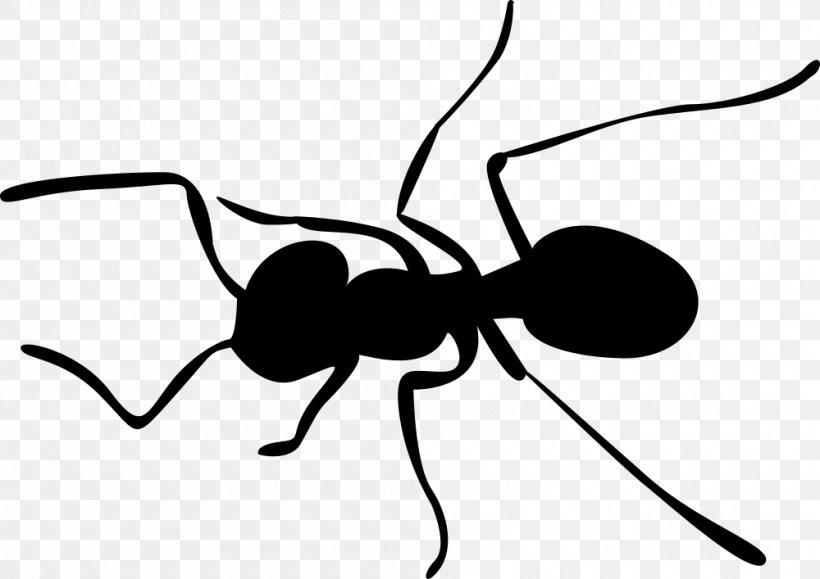 Clip Art Insect Cartoon Line Design M Group, PNG, 1000x707px, Insect, Ant, Arthropod, Black, Blackandwhite Download Free