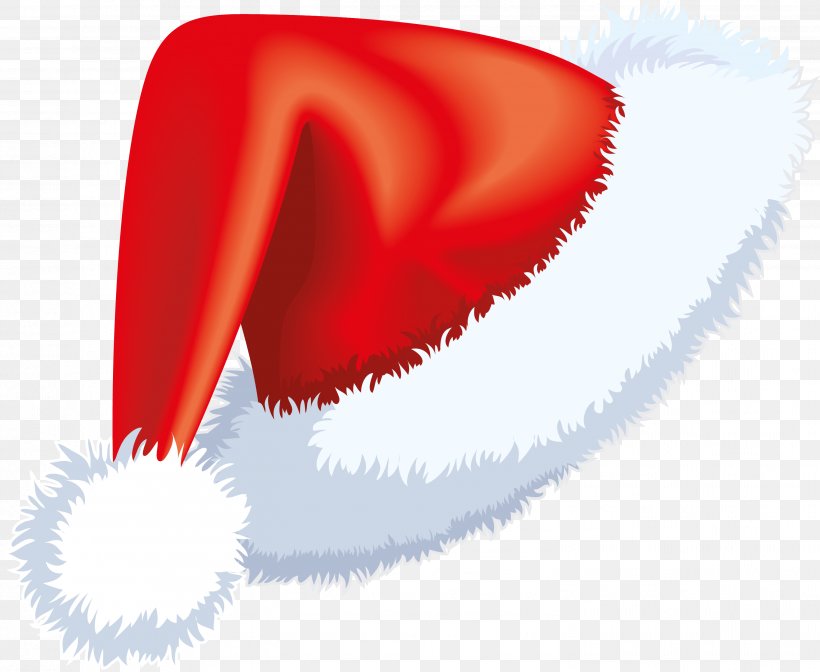 Ded Moroz Cap Grandfather Hat Santa Claus, PNG, 3011x2468px, Ded Moroz, Cap, Character, Christmas, Diary Download Free