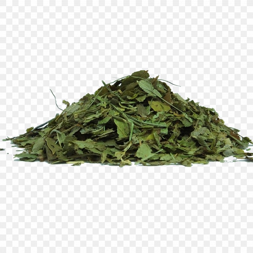 Green Tea Herbal Tea Matcha, PNG, 3456x3456px, Green Tea, Aonori, Bancha, Black Tea, Caffeine Download Free