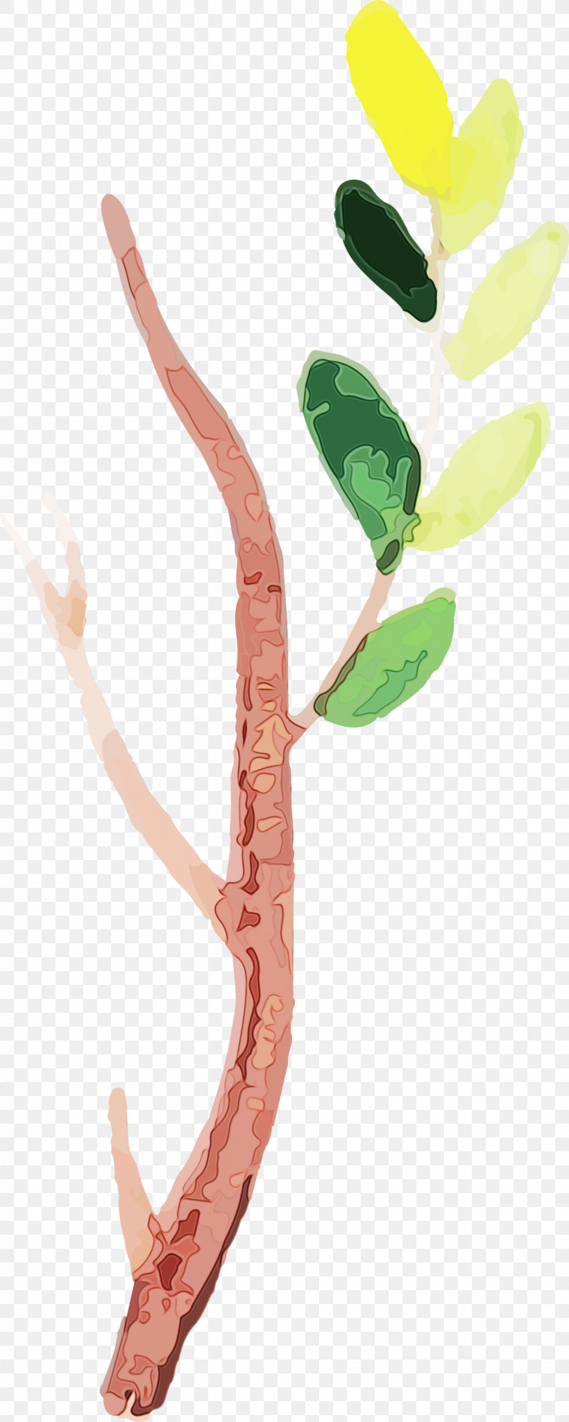 Leaf Plant Stem Plants Science Biology, PNG, 1200x3000px, Watercolor Autumn, Biology, Leaf, Paint, Plant Stem Download Free