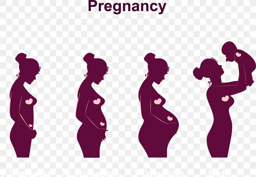 Pregnancy Childbirth Infant Menstruation Fetus, PNG, 2743x1900px, Pregnancy, Birth, Brand, Breastfeeding, Childbirth Download Free