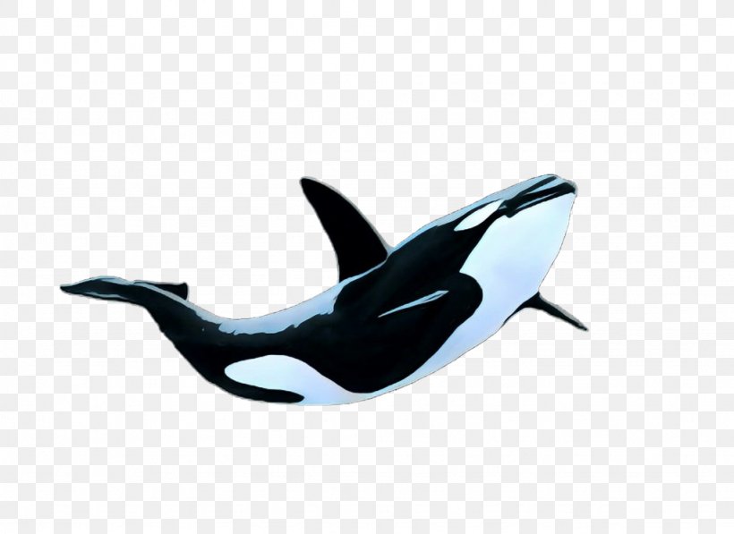 Whale Cartoon, PNG, 1024x746px, Pop Art, Animal, Aquatic Animal, Blue Whale, Cetacea Download Free