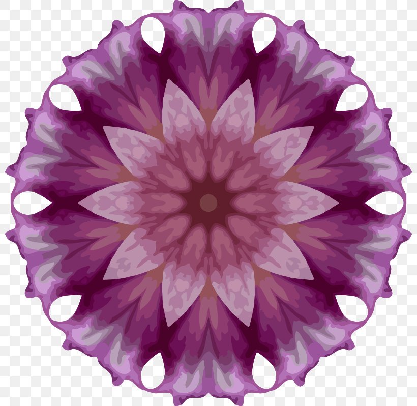 Dahlia Purple Petal, PNG, 800x798px, Dahlia, Flower, Flowering Plant, Magenta, Petal Download Free