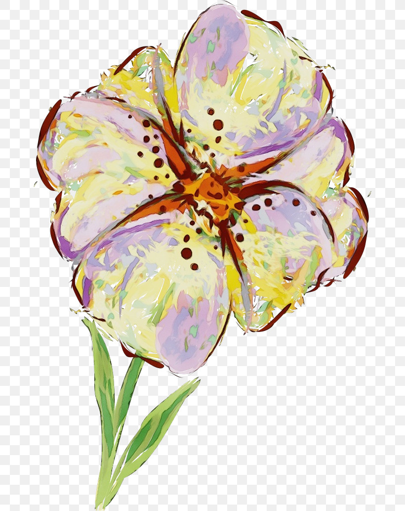 Flower Cut Flowers Watercolor Paint Plant Petal, PNG, 684x1033px, Drawing Flower, Cut Flowers, Floral Drawing, Flower, Iris Download Free