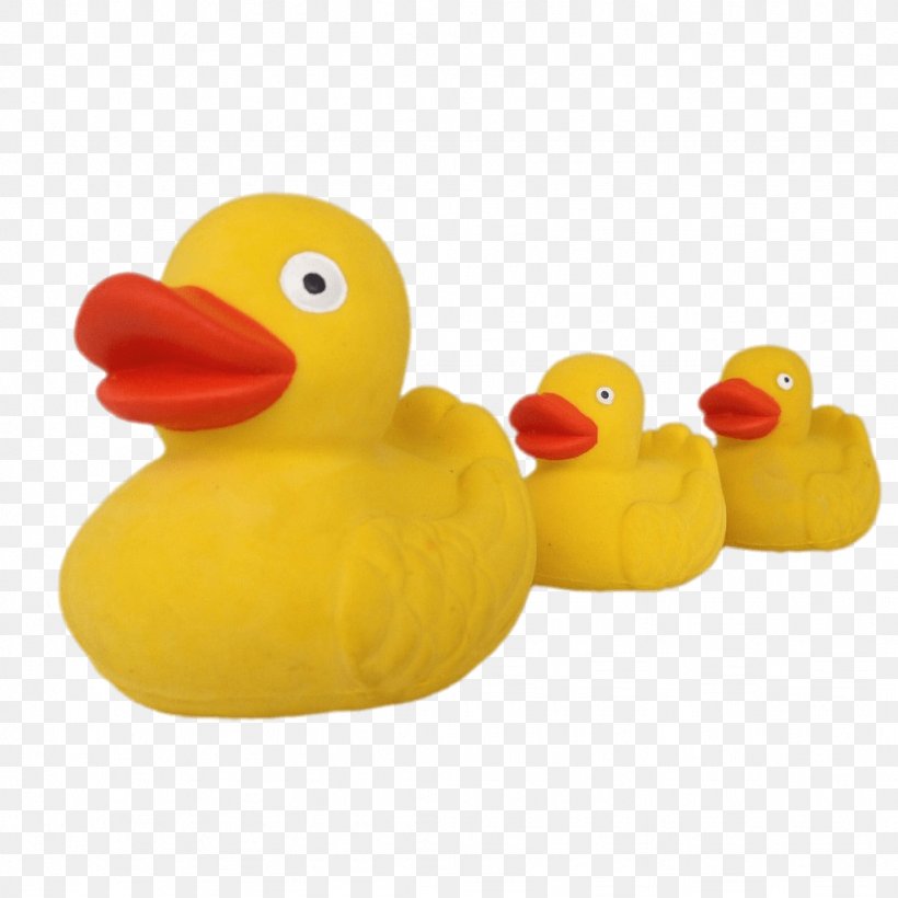 Rubber Duck Bath Toy Natural Rubber, PNG, 1024x1024px, Duck, Animal Figure, Baby Toys, Bath Toy, Beak Download Free