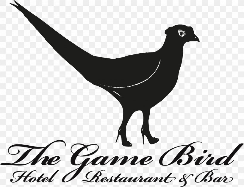 The Trinacria Bed And Breakfast On The Sea Bird History Summer Camp | July, PNG, 2000x1532px, On The Sea, Beak, Bed And Breakfast, Bird, Black And White Download Free