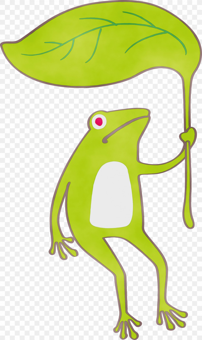 True Frog Tree Frog Frogs Cartoon Toad, PNG, 1785x3000px, Frog, Beak, Cartoon, Frogs, Green Download Free