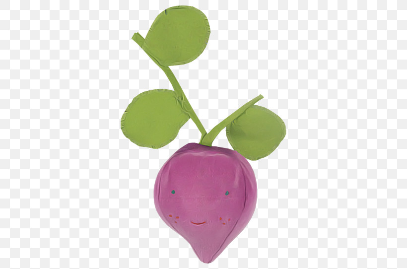 Violet Purple Radish Leaf Plant, PNG, 650x542px, Violet, Flower, Leaf, Plant, Purple Download Free