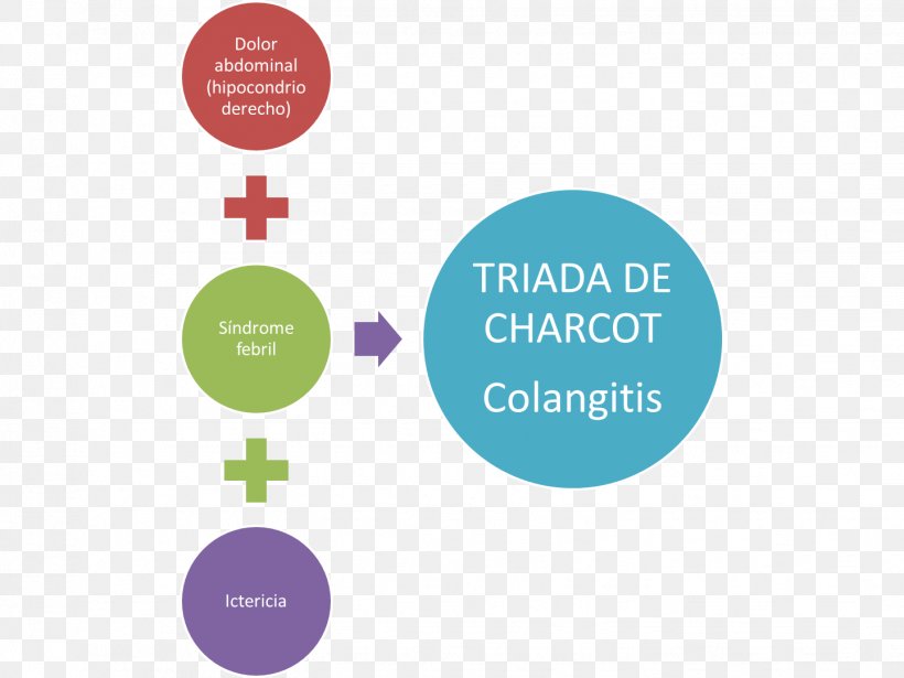 Charcot's Triad Ascending Cholangitis Medicine Physician Disease, PNG, 1441x1082px, Medicine, Bile, Bile Duct, Brand, Communication Download Free
