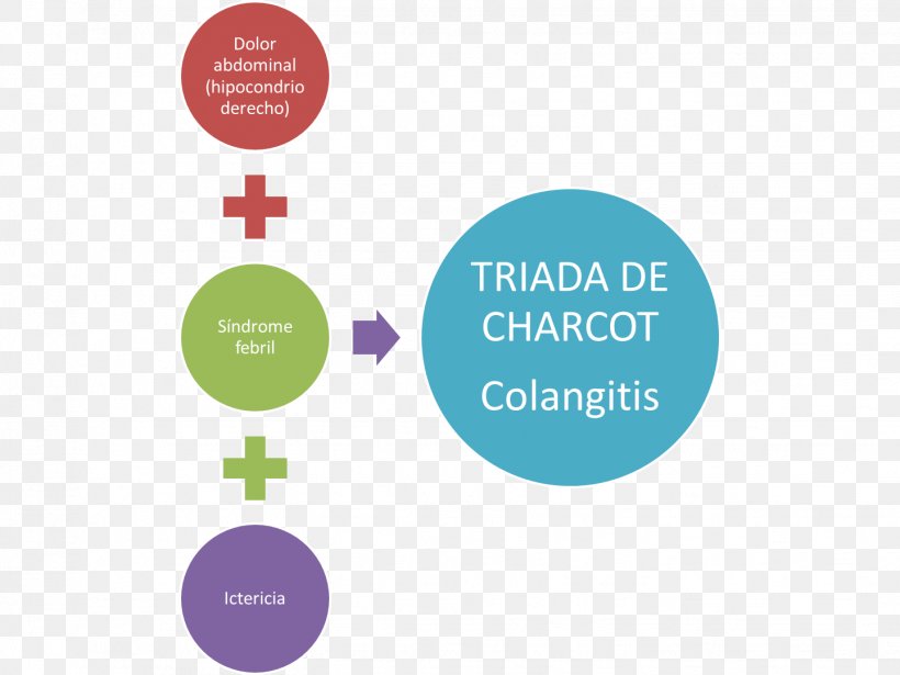 Charcot's Triad Ascending Cholangitis Medicine Physician Disease, PNG ...