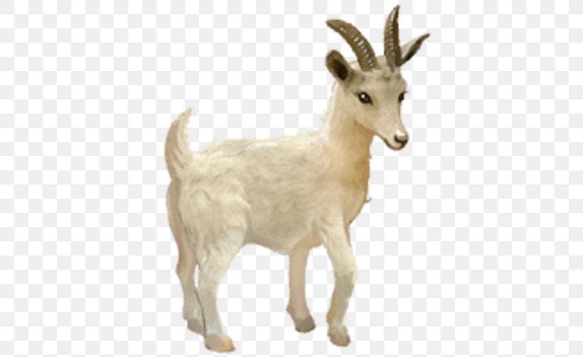 Howrse Horse Goat YouTube, PNG, 503x503px, Howrse, Android, Animal Figure, Antelope, Barbary Sheep Download Free