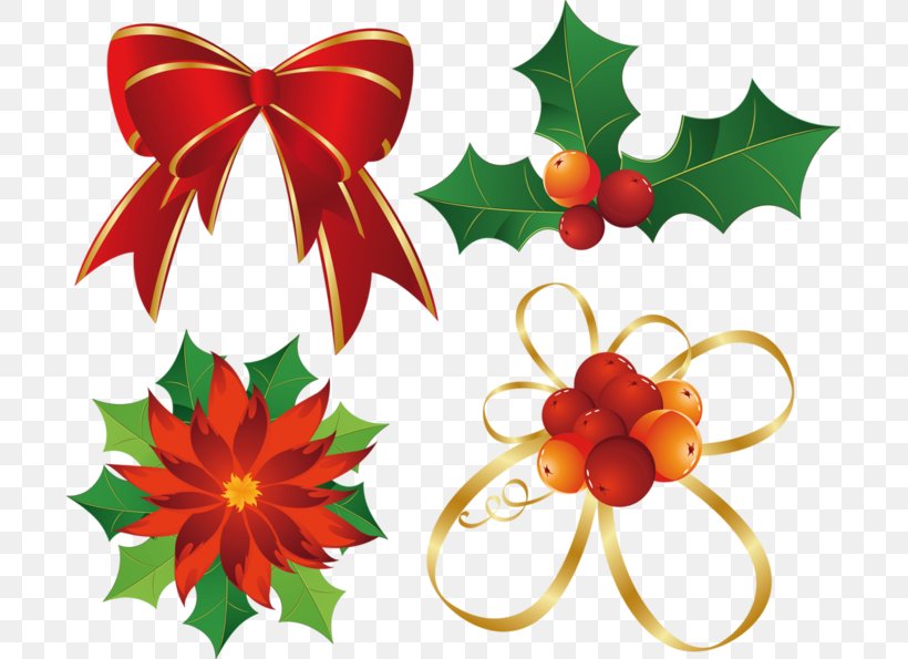 Image Resolution, PNG, 699x595px, Image Resolution, Christmas, Christmas Ornament, Flower, Flowering Plant Download Free
