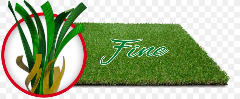 Lawn Logo Green Font Grasses, PNG, 1170x485px, Lawn, Brand, Family, Grass, Grass Family Download Free