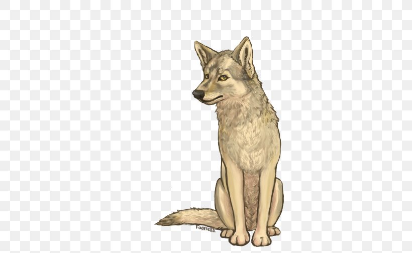 Saarloos Wolfdog Czechoslovakian Wolfdog Kunming Wolfdog Coyote Red Fox, PNG, 504x504px, Saarloos Wolfdog, Carnivoran, Coyote, Czechoslovakia, Czechoslovakian Wolfdog Download Free
