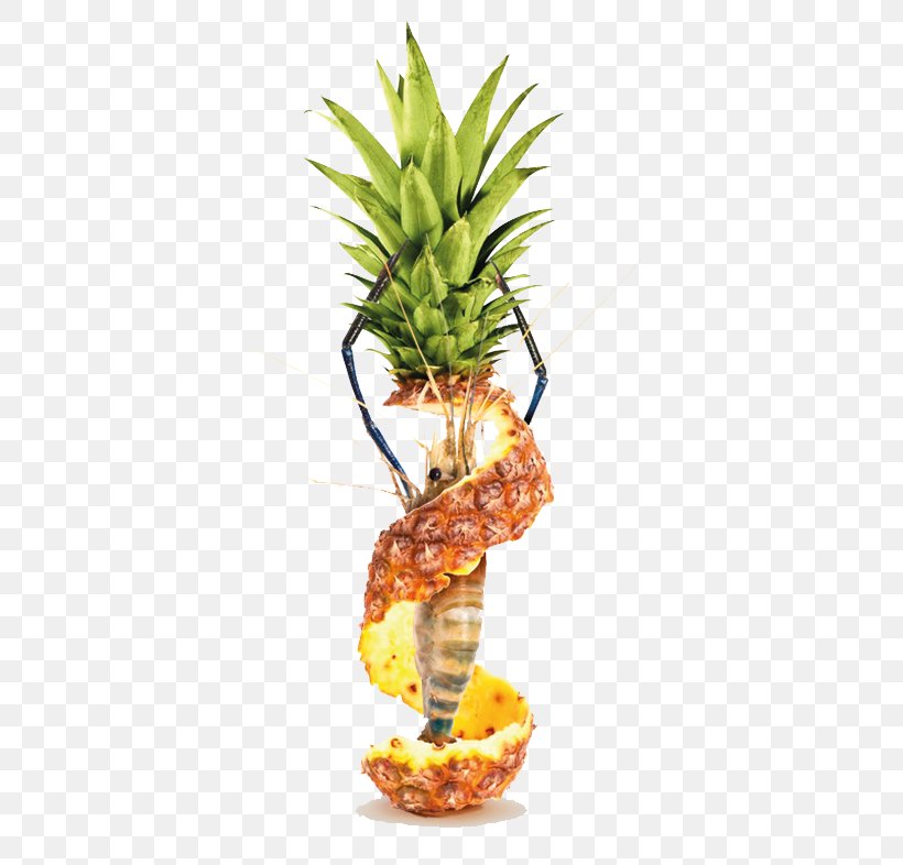 Stock Photography Pineapple Bromelain Royalty-free, PNG, 361x786px, Stock Photography, Ananas, Bromelain, Bromeliaceae, Flowering Plant Download Free