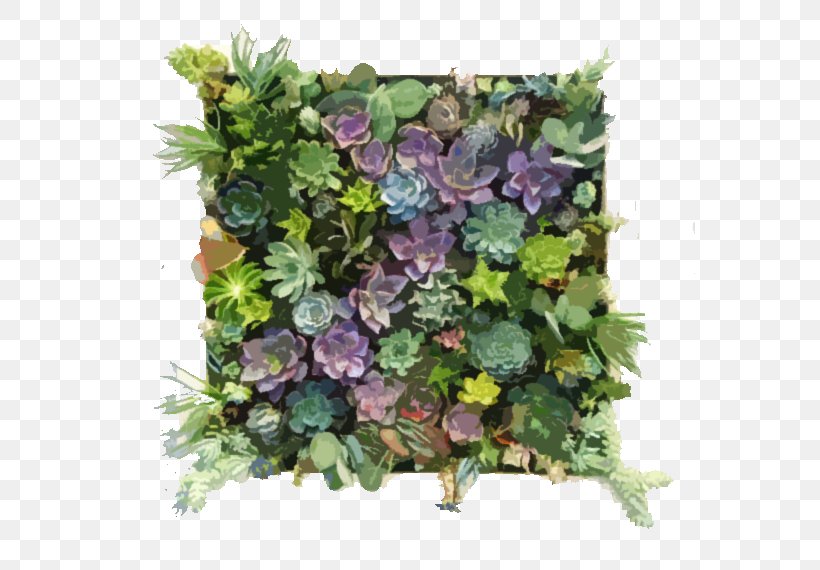 Green Wall Succulent Plant Picture Frames Garden, PNG, 570x570px, Green Wall, Annual Plant, Cutting, Fence, Floral Design Download Free