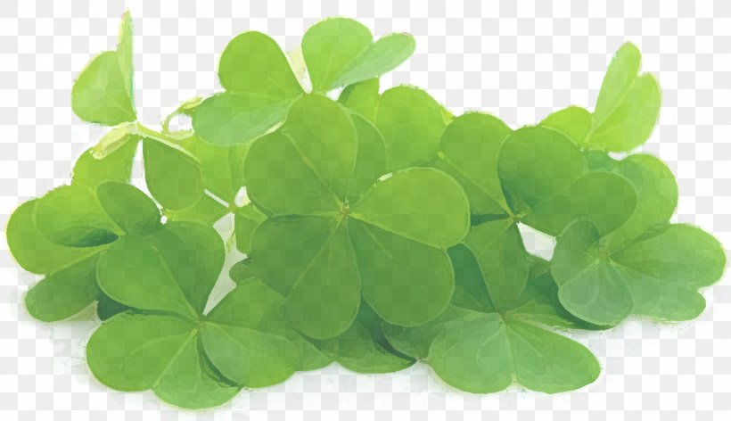Red Clover Stock Photography Royalty-free Four-leaf Clover, PNG, 1400x807px, Red Clover, Clover, Fourleaf Clover, Grass, Green Download Free