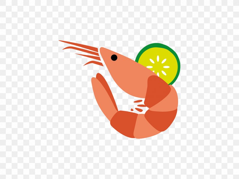 Beak Clip Art, PNG, 1200x900px, Beak, Logo, Orange, Organism Download Free