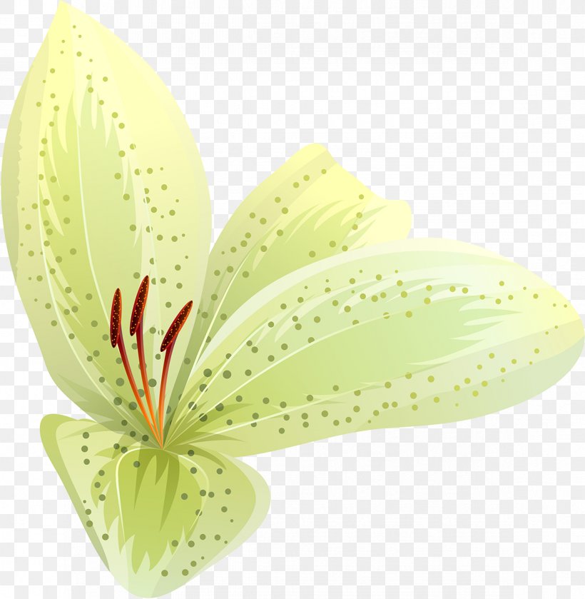 Petal Flower Leaf Plant, PNG, 1172x1200px, Petal, Flower, Leaf, Plant Download Free