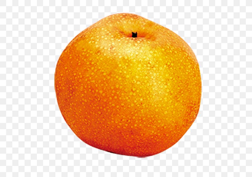 Clementine Mandarin Orange Fruit, PNG, 600x576px, Clementine, Apple, Auglis, Blood Orange, Citrus Download Free