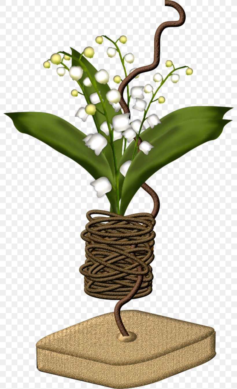 Lily Of The Valley Cut Flowers Floral Design Blume, PNG, 800x1342px, Lily Of The Valley, Blume, Convallaria, Cut Flowers, Flora Download Free