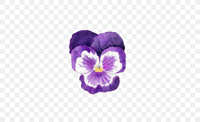 Watercolor Painting Pansy Purple Photography, PNG, 500x500px, Watercolor Painting, Art, Drawing, Flower, Flowering Plant Download Free