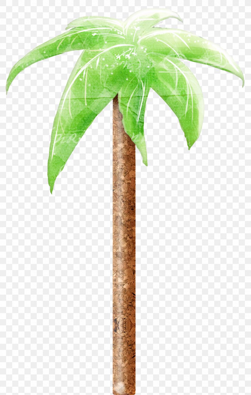 Coconut Flowerpot Date Palm Plant Stem Palm Trees, PNG, 1019x1600px, Coconut, Arecales, Date Palm, Flowerpot, Palm Tree Download Free