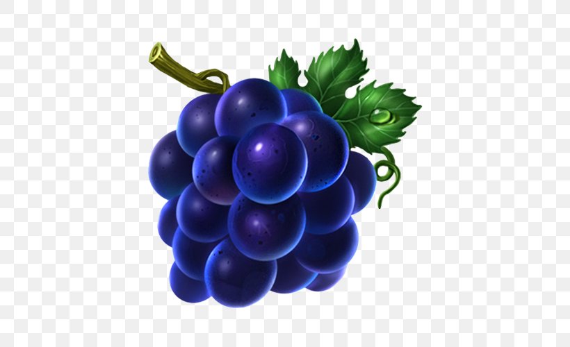 Grape Icon, PNG, 500x500px, Grape, Behance, Berry, Bilberry, Designer Download Free