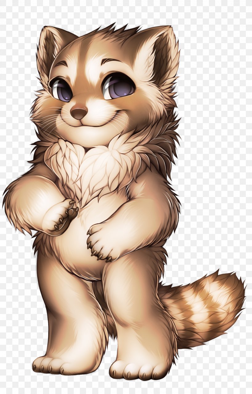 Whiskers Raccoon Ferret Weasels Cat, PNG, 1212x1892px, Whiskers, Animal, Bear, Carnivoran, Cat Download Free