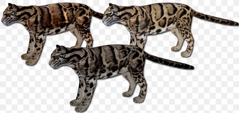 Bengal Cat California Spangled Wildcat Leopard Zoo Tycoon 2, PNG, 1024x487px, Bengal Cat, Animal, Animal Figure, Bengal, Big Cat Download Free