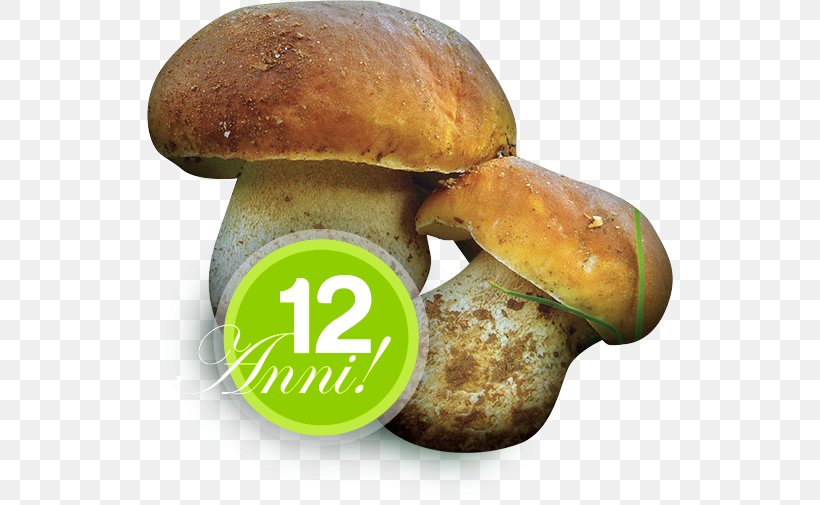 Sagra Edible Mushroom Fungus Festival Cusano Mutri, PNG, 526x505px, Sagra, Bolete, Boletus Edulis, Edible Mushroom, Festival Download Free