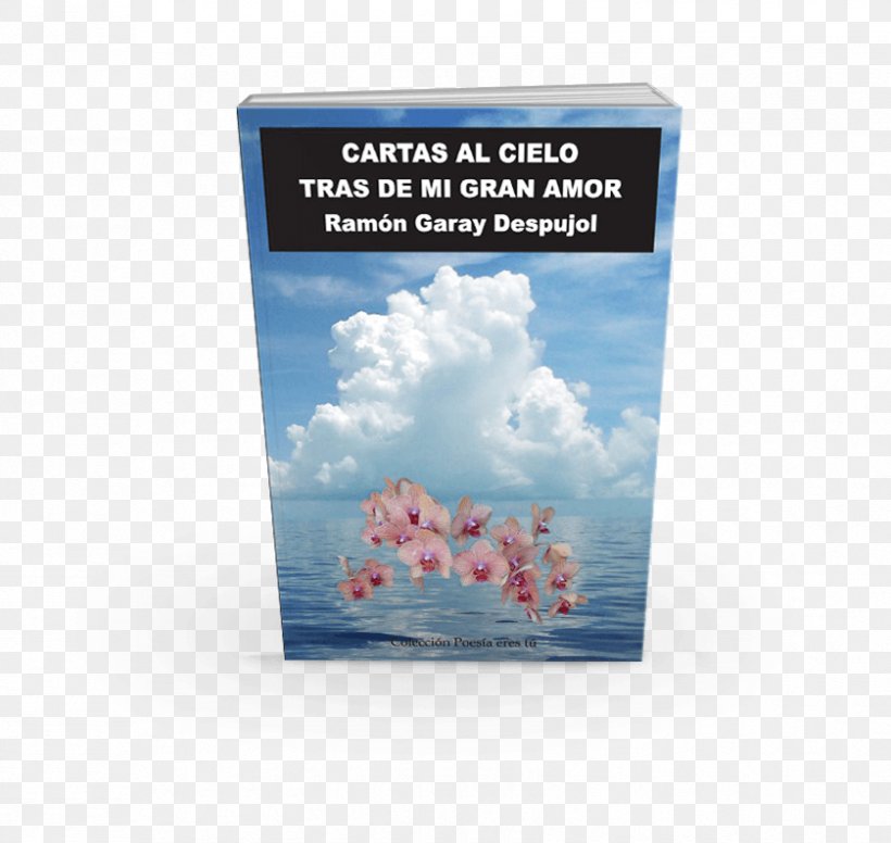 Cartas Al Cielo Tras De Mi Gran Amor Letters To A Young Poet Book Writer Poetry, PNG, 839x795px, Book, Author, Boekhandel, Cloud, Information Download Free