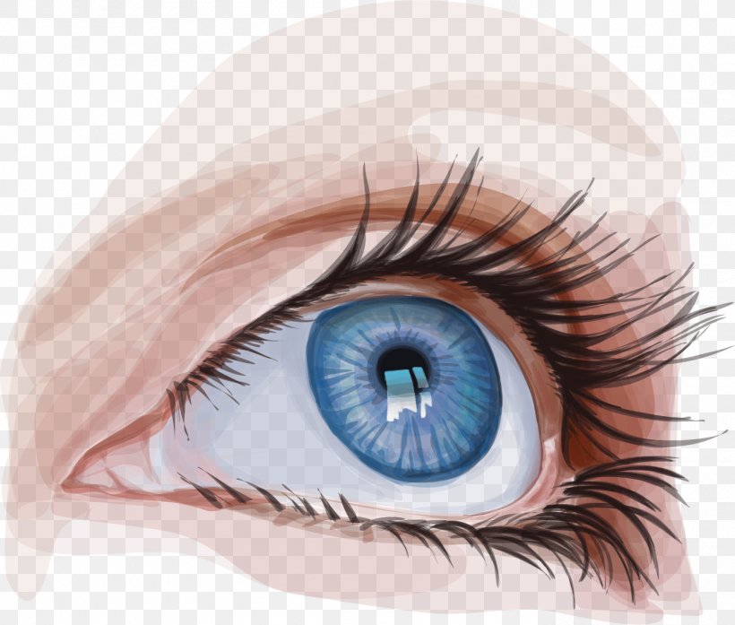 Googly Eyes Iris, PNG, 1386x1179px, Watercolor, Cartoon, Flower, Frame, Heart Download Free