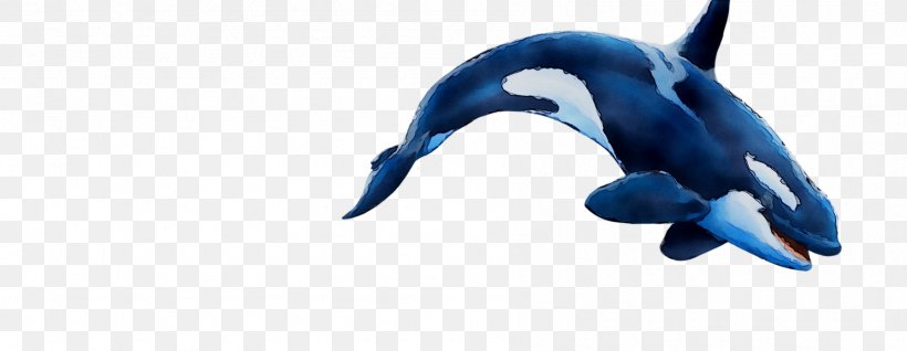 Dolphin Cobalt Blue Beak, PNG, 1793x696px, Dolphin, Animal, Animal Figure, Beak, Blue Download Free