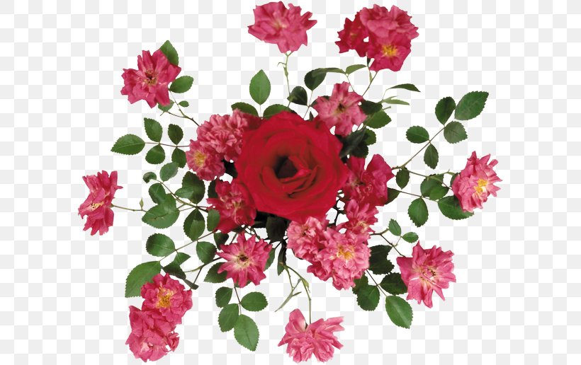 Flower Wreath Clip Art, PNG, 603x516px, Flower, Annual Plant, Artificial Flower, Chrysanths, Cut Flowers Download Free
