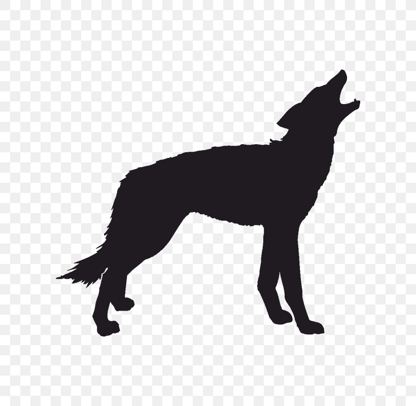 Gray Wolf Coyote Silhouette Clip Art, PNG, 800x800px, Gray Wolf, Art, Black, Black And White, Black Wolf Download Free