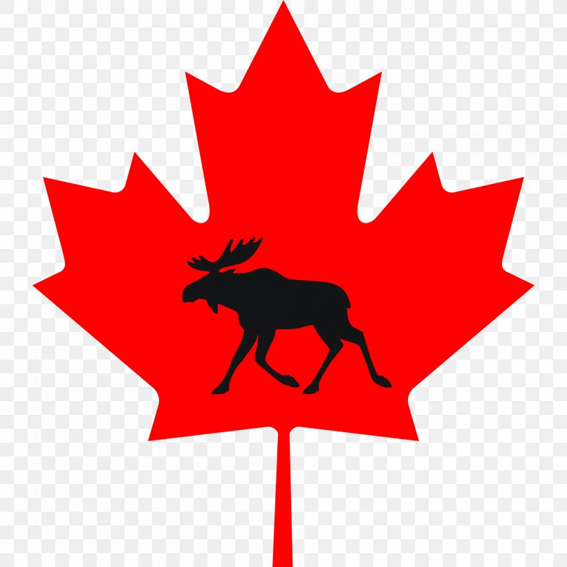 Maple Leaf Canada Clip Art, PNG, 2000x2000px, Maple Leaf, Artwork, Autumn, Canada, Cryptocurrency Wallet Download Free