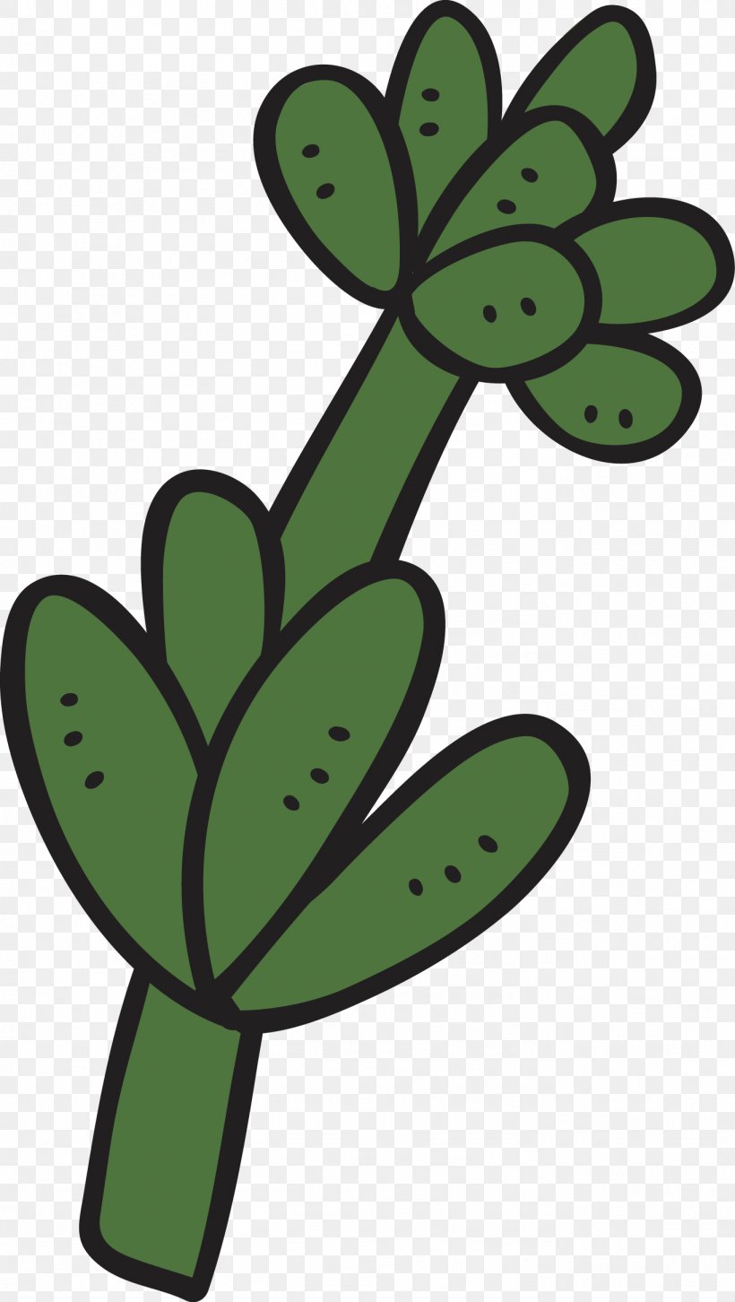 Cartoon Succulent Plant Cactaceae, PNG, 1366x2419px, Cartoon, Cactaceae, Desert, Drawing, Flower Download Free