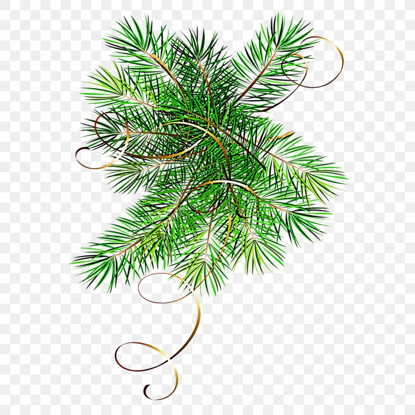 Christmas Tree, PNG, 1280x1280px, White Pine, American Larch, Balsam Fir, Branch, Canadian Fir Download Free