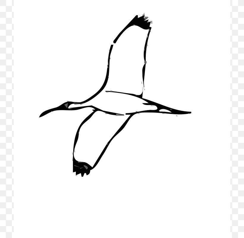 Drawing Line Art Clip Art, PNG, 800x800px, Drawing, Arm, Art, Beak, Bird Download Free