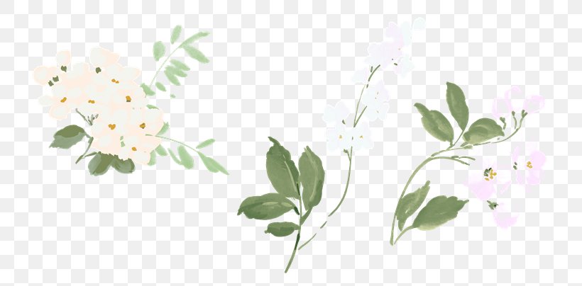 Flowering Tea Cut Flowers, PNG, 790x404px, Flower, Arabian Jasmine, Blossom, Branch, Cut Flowers Download Free
