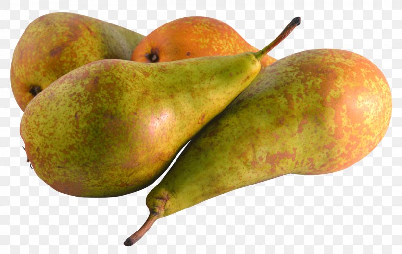 Pear Fruit, PNG, 1500x950px, Pear, Food, Fruit, Fruit Preserves, Fruit Tree Download Free