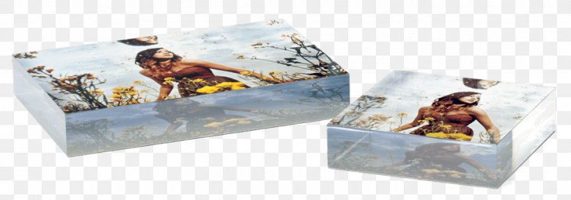 Woodblock Printing Poly Acrylic Paint Photography, PNG, 976x343px, Printing, Acrylic Paint, Box, Digital Printing, Glass Download Free