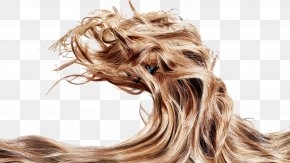 Hair - Advertising Campaign Shampoo Pantene Hair Care PNG