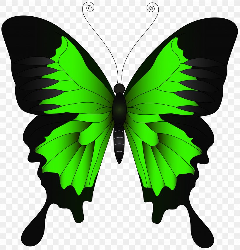 Butterfly Papilio Ulysses Illustration, PNG, 4783x5000px, Butterfly, Arthropod, Brush Footed Butterfly, Color, Green Download Free