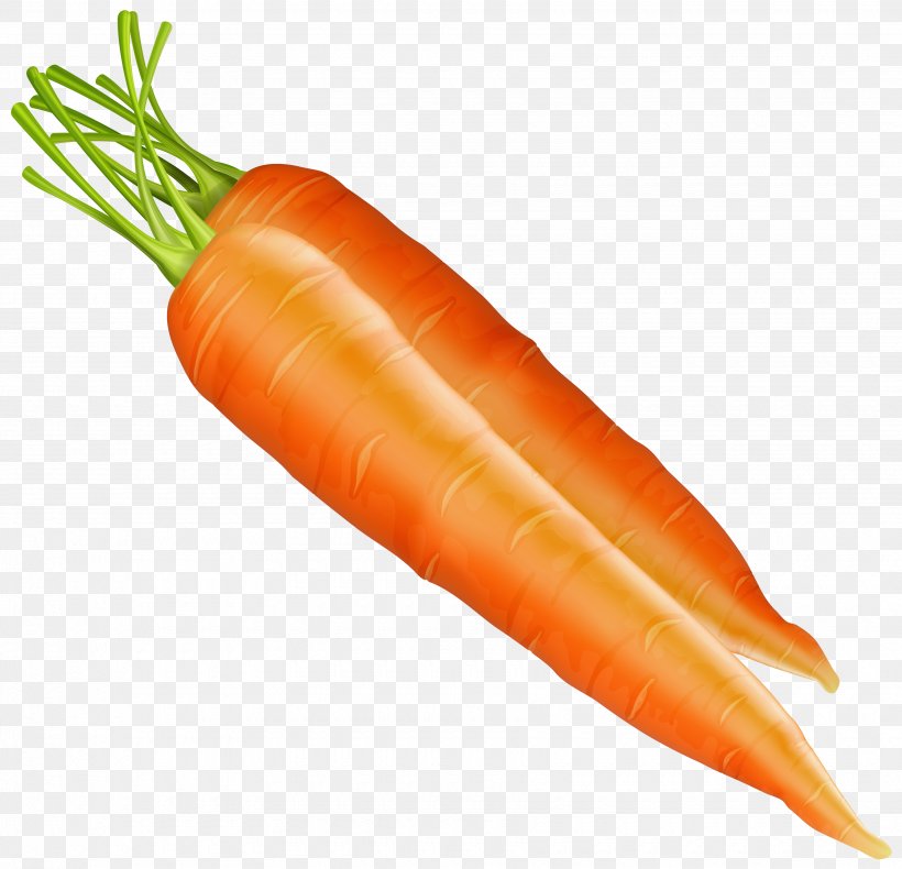 Carrot Vegetable Clip Art, PNG, 3500x3374px, Carrot, Baby Carrot, Food, Local Food, Natural Foods Download Free