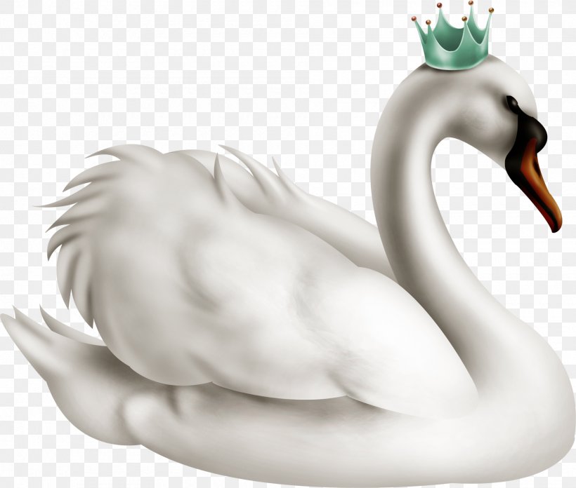 Cygnini Duck The Swan Princess Domestic Goose, PNG, 1900x1613px, Cygnini, Beak, Bird, Crown, Domestic Goose Download Free