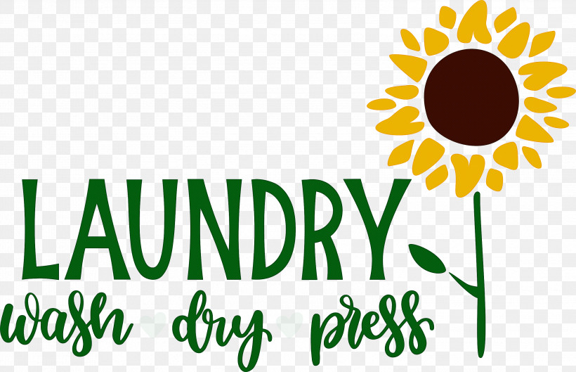 Laundry Wash Dry, PNG, 2999x1936px, Laundry, Cut Flowers, Daisy Family, Dry, Floral Design Download Free